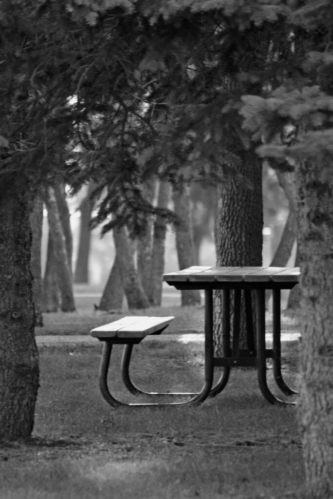 Picnic Table and Deck