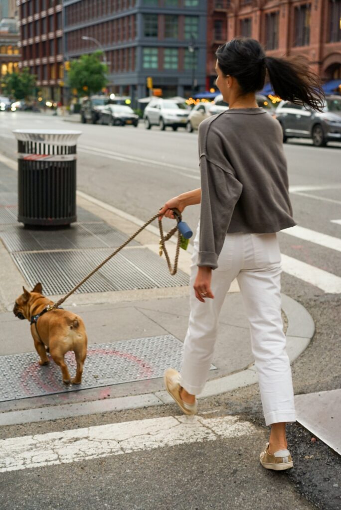 Radius of a Dog